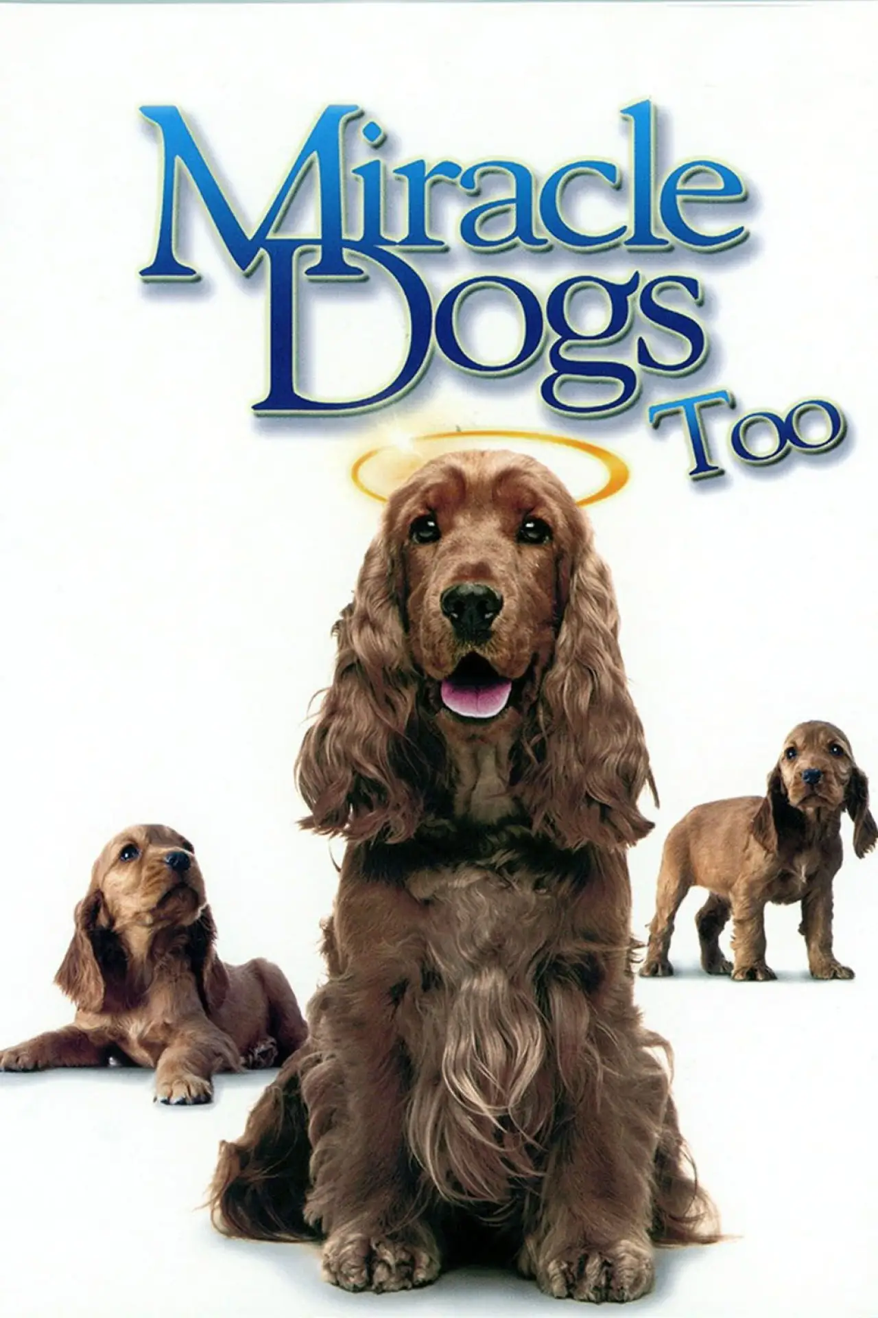 Постер до фільму "Miracle Dogs Too"