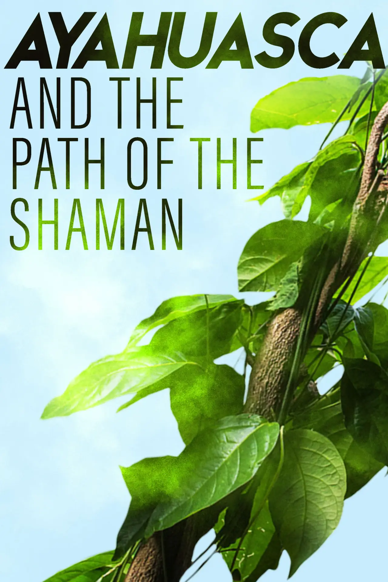 Постер до фільму "Ayahuasca and the Path of the Shaman"