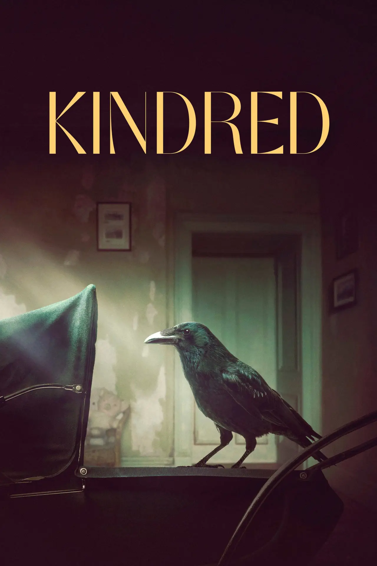Постер до фільму "Kindred"