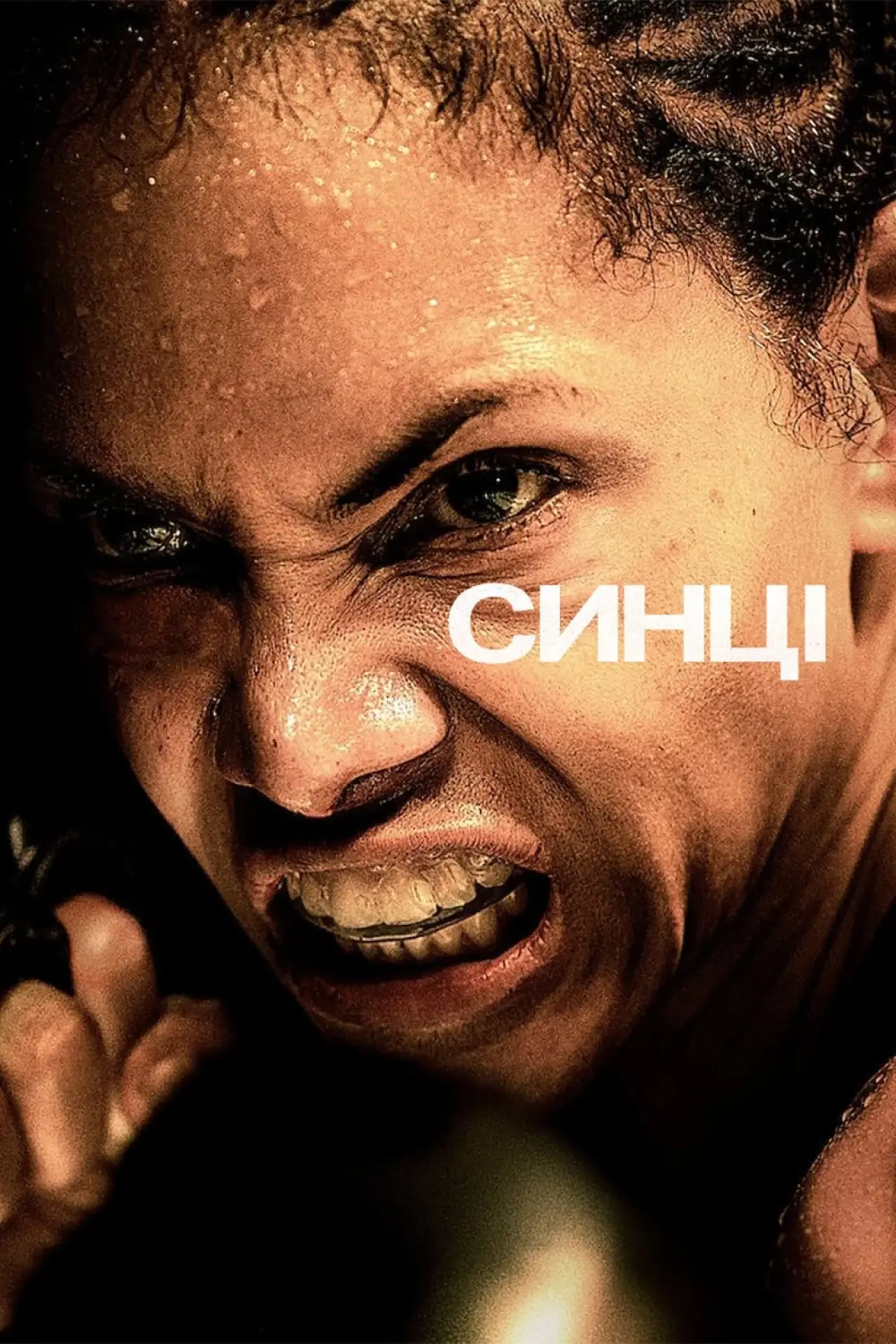 Постер до фільму "Синці"