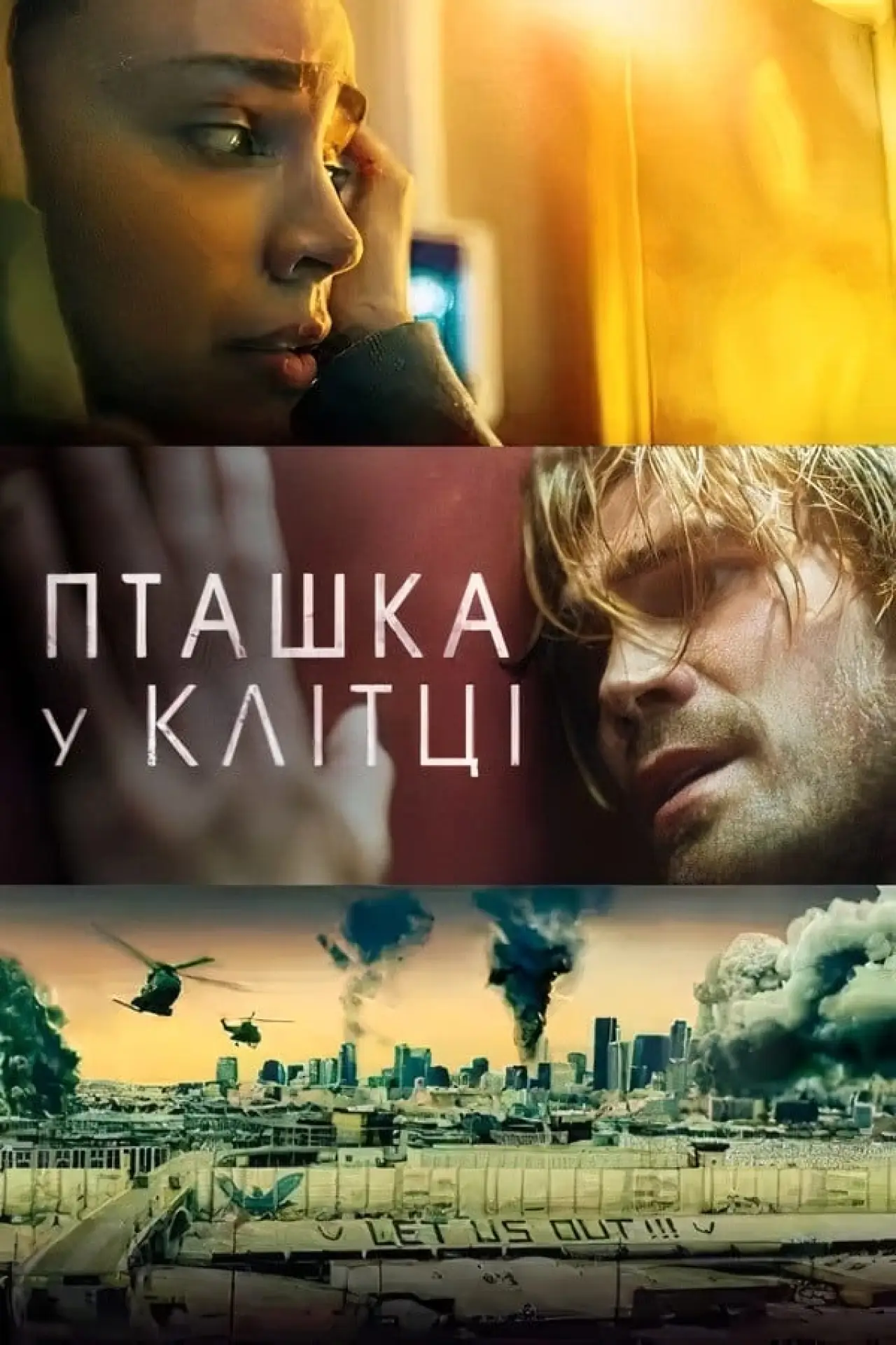 Постер до фільму "Пташка у клітці"
