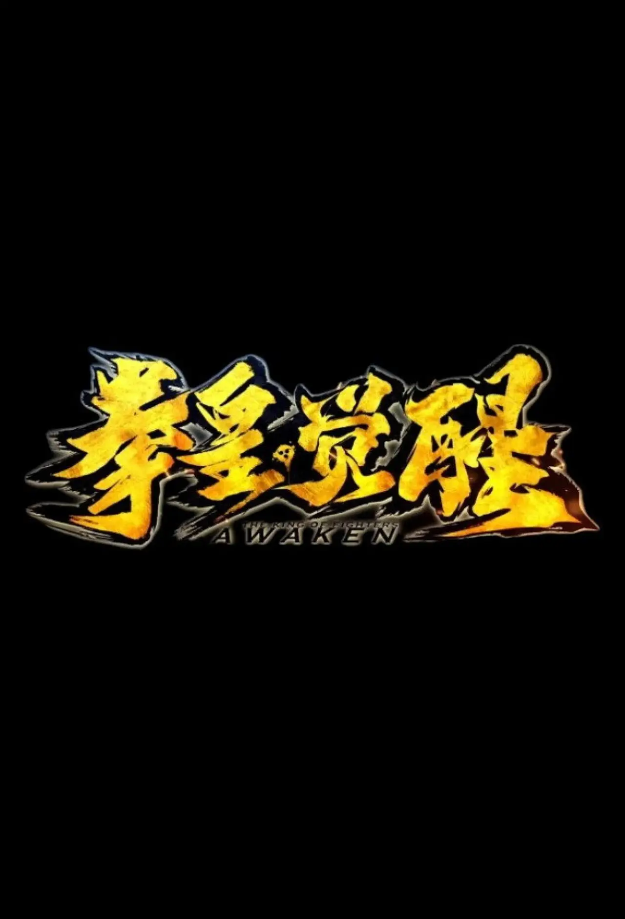 Постер до фільму "拳皇·觉醒"
