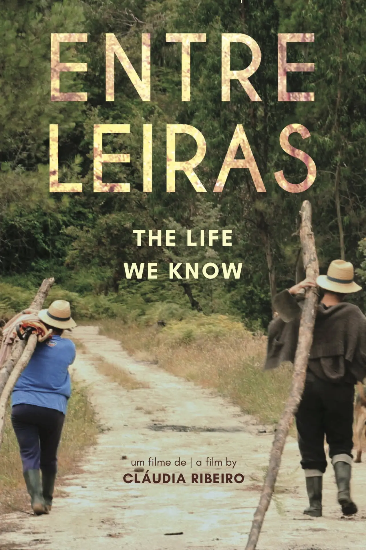 Постер до фільму "Entre Leiras"