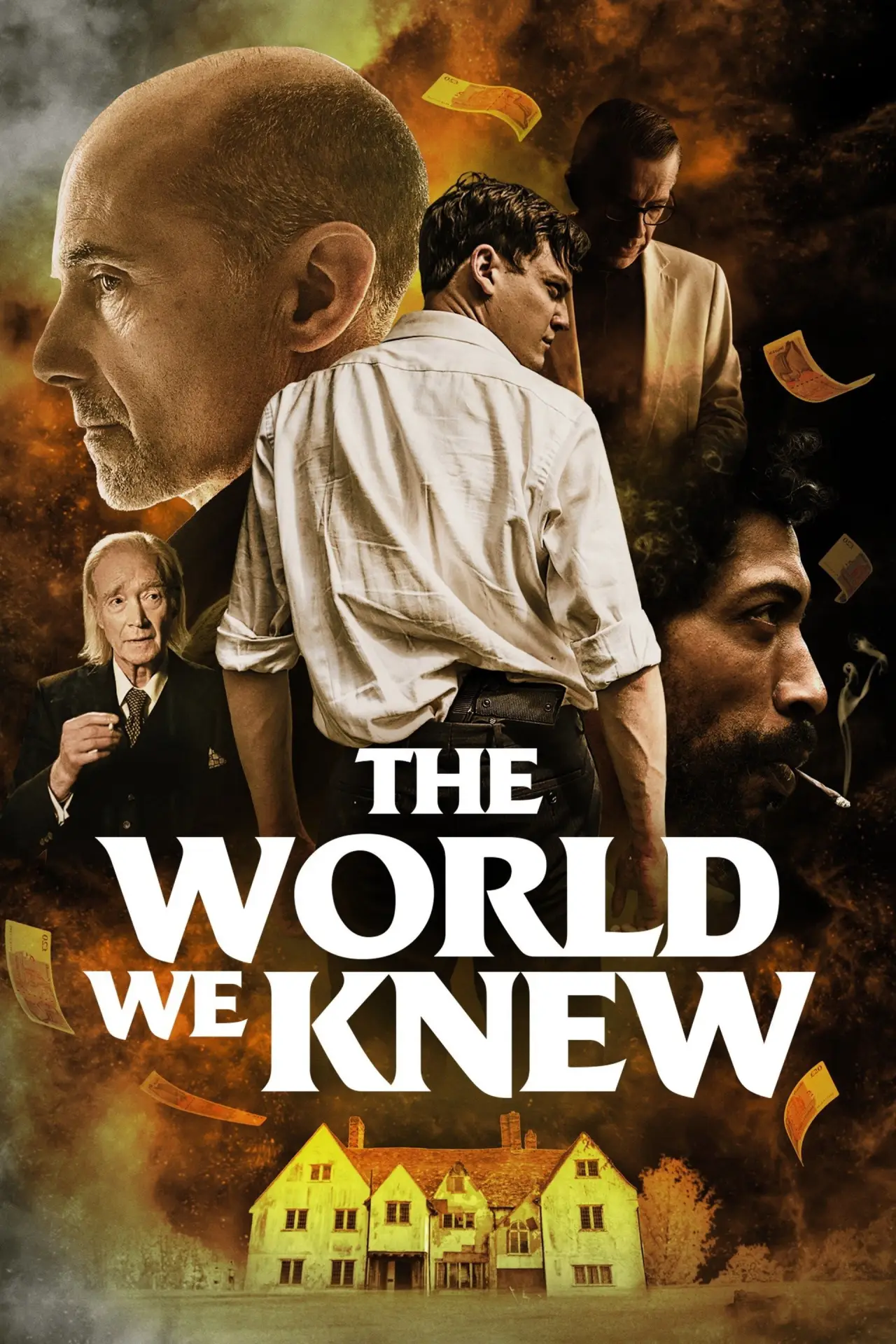 Постер до фільму "The World We Knew"