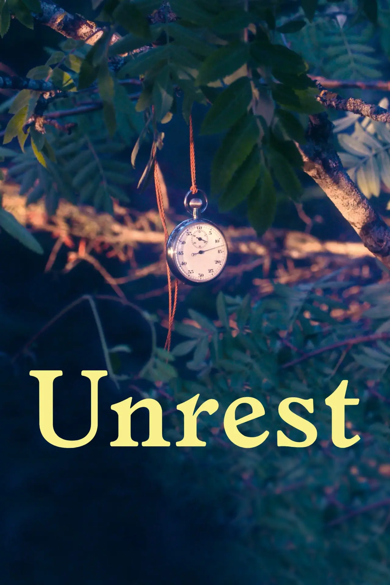 Постер до фільму "Unrueh"