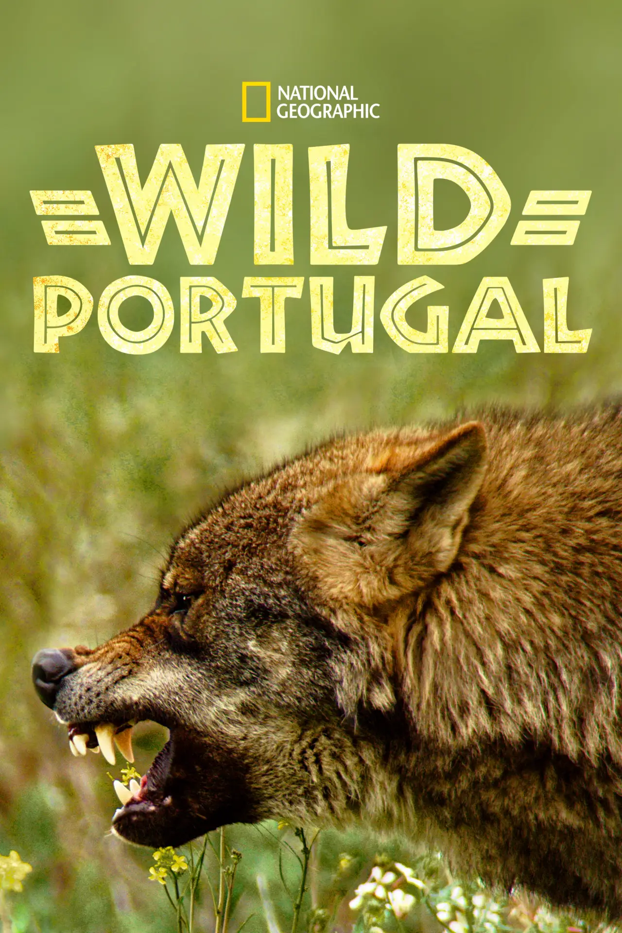 Постер до фільму "Wild Portugal"