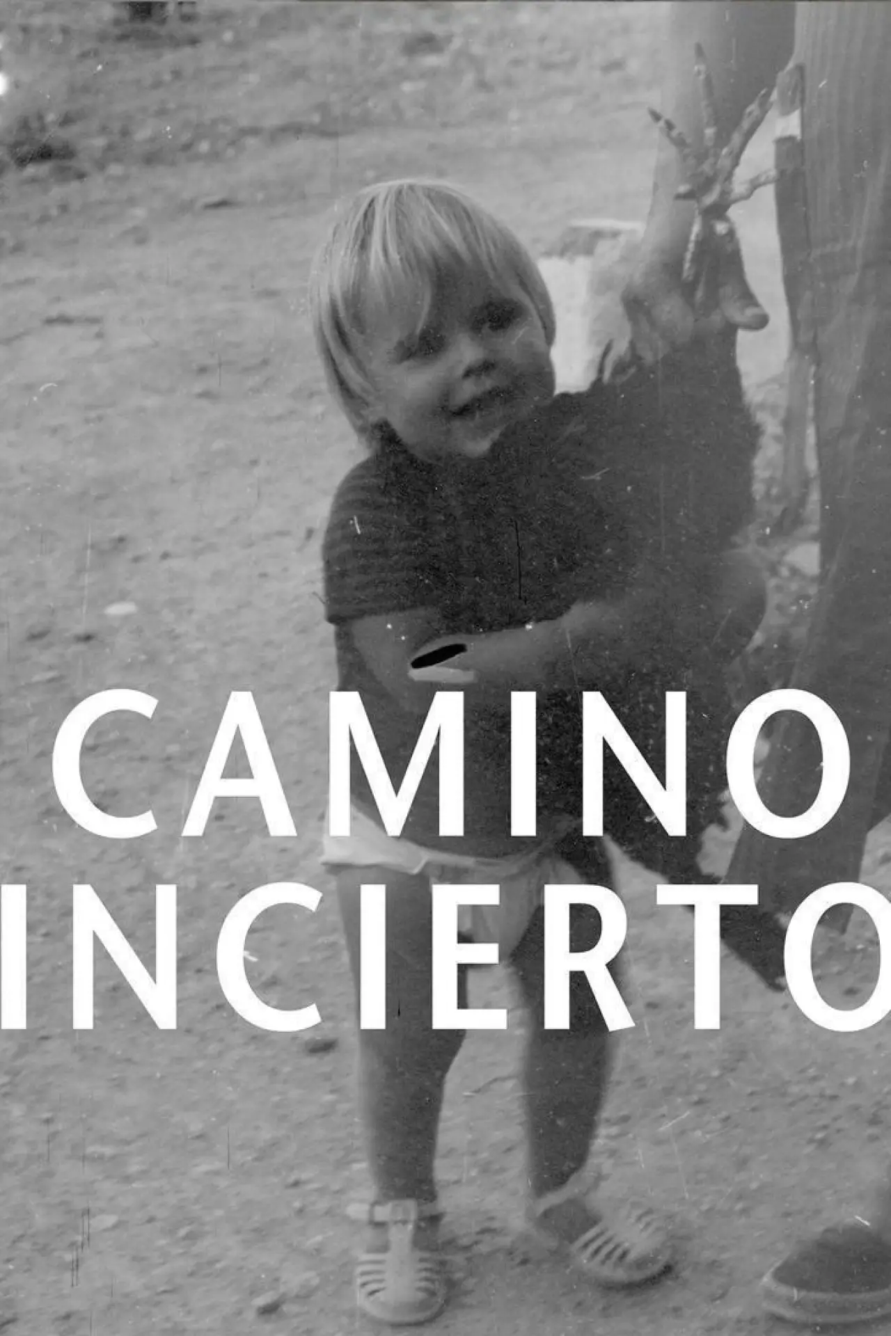 Постер до фільму "Camino incierto"
