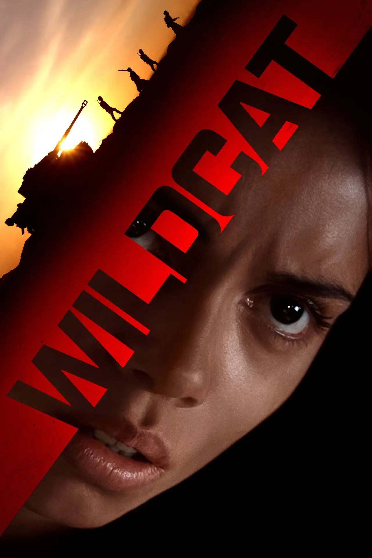 Постер до фільму "Wildcat"