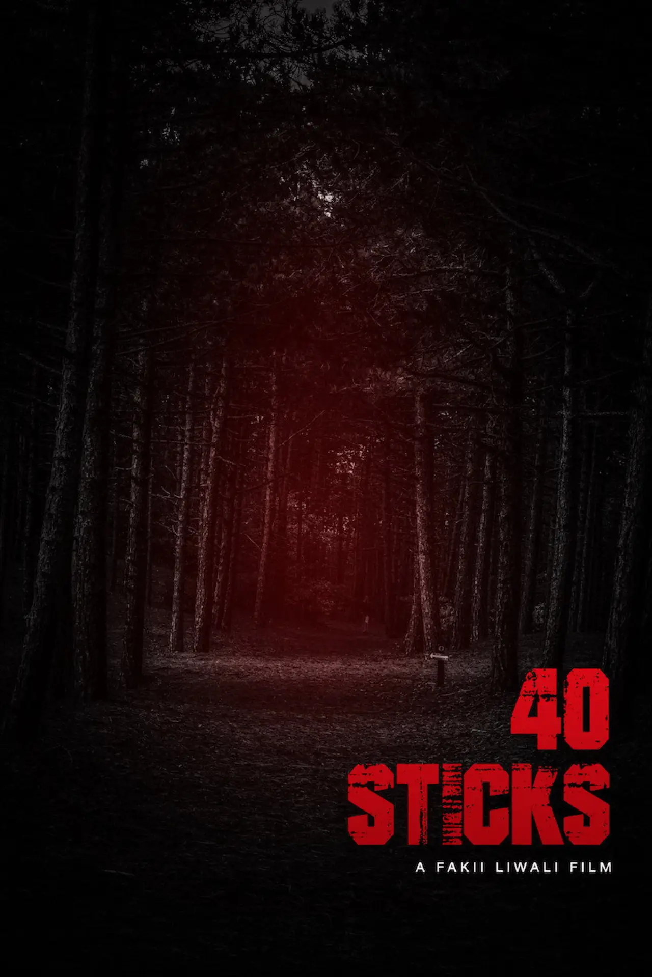 Постер до фільму "40 Sticks"