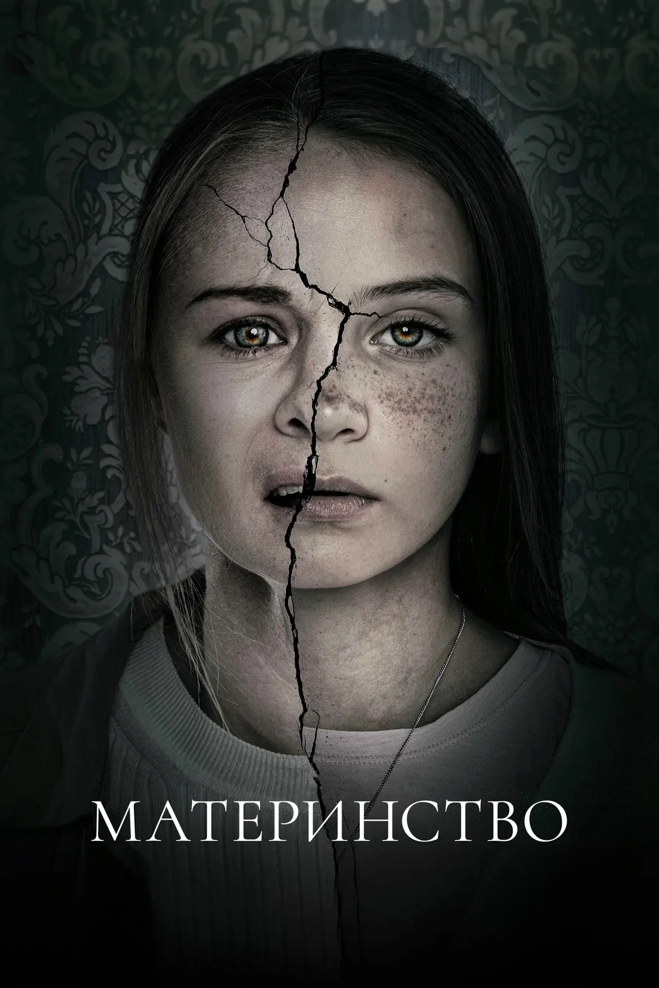 Постер до фільму "Материнство"