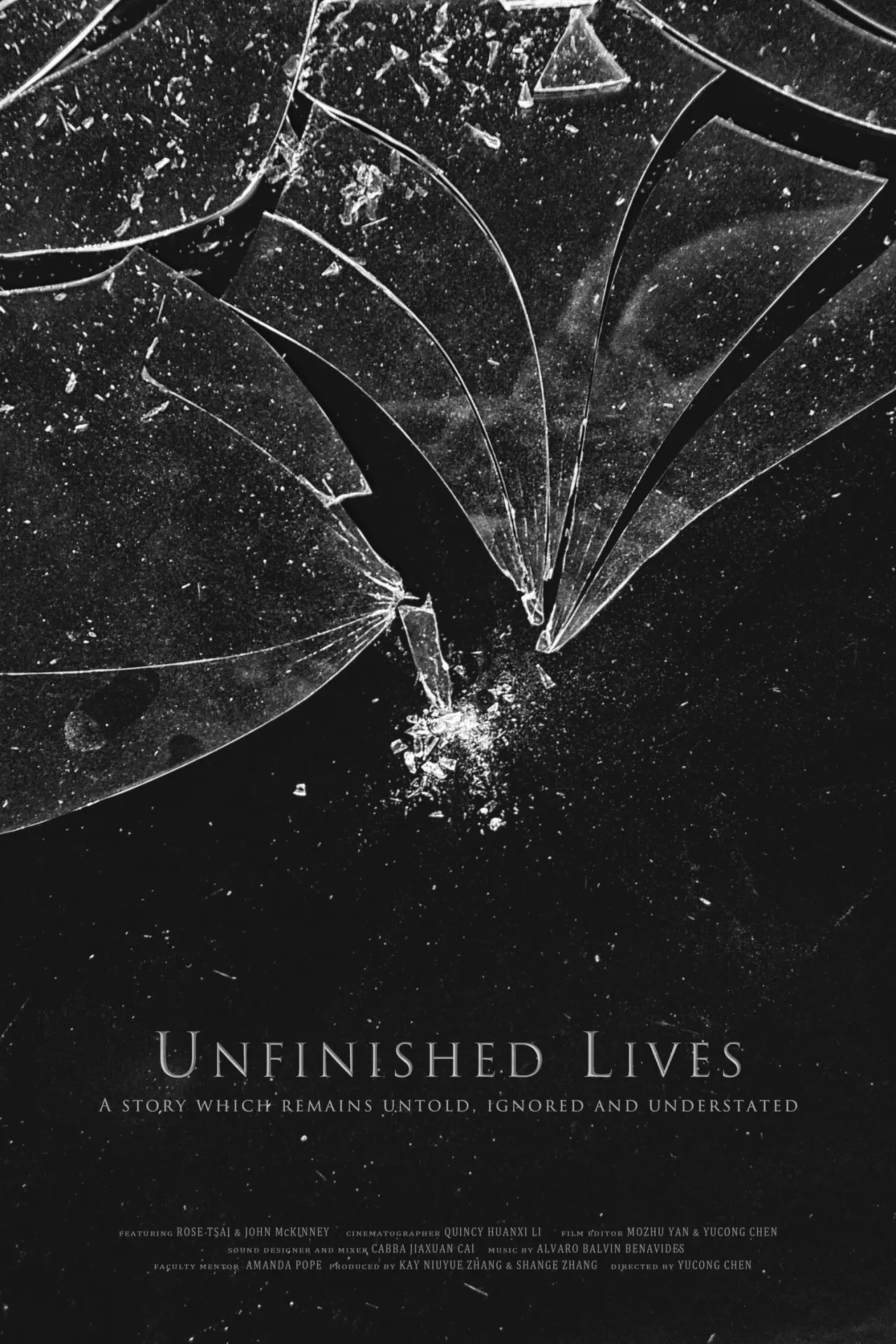 Постер до фільму "Unfinished Lives"