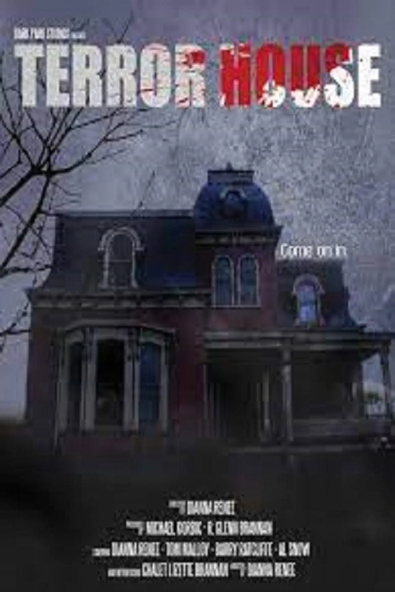 Постер до фільму "Terror House"