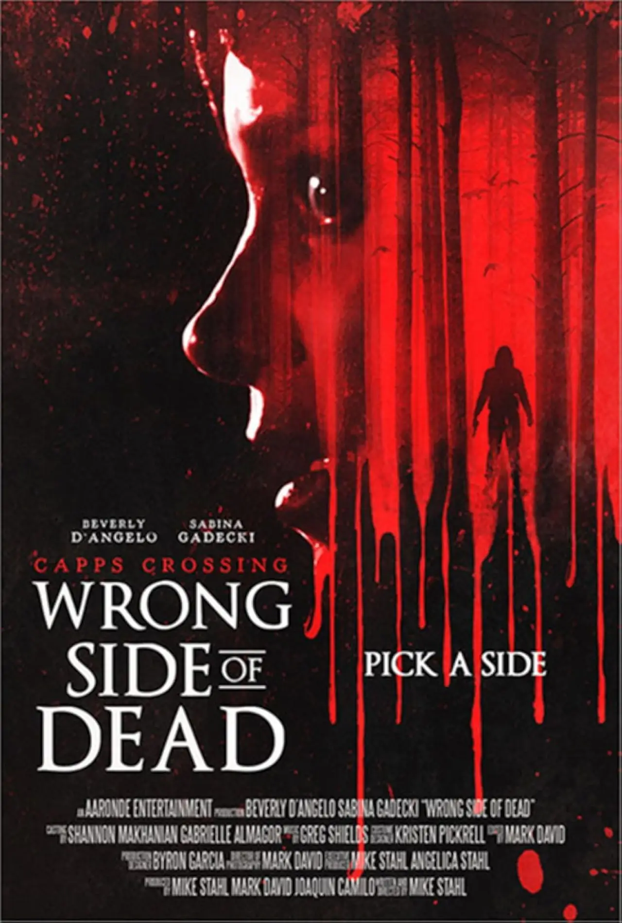 Постер до фільму "Capps Crossing: Wrong Side of Dead"