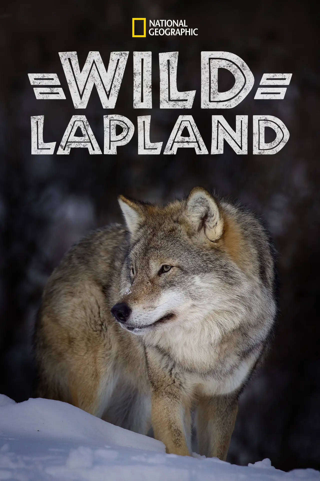 Постер до фільму "Wild Lapland"