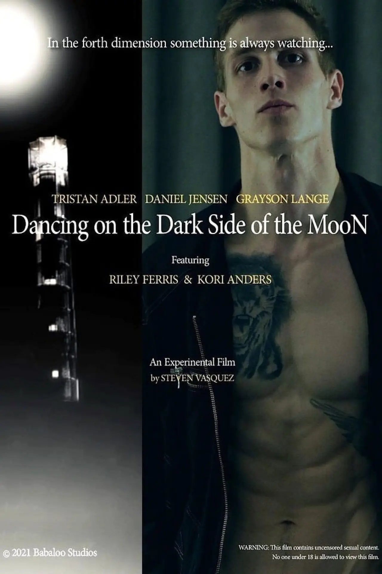 Постер до фільму "Dancing on the Dark Side of the Moon"