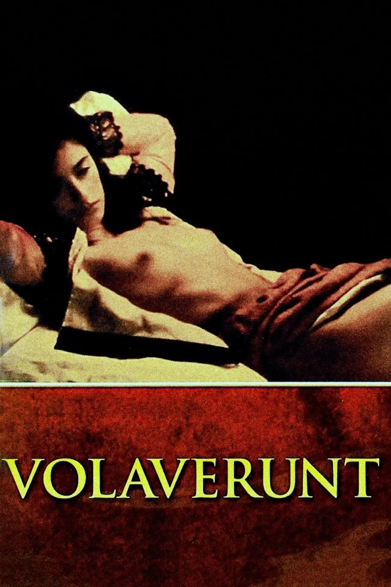 Постер до фільму "Volavérunt"