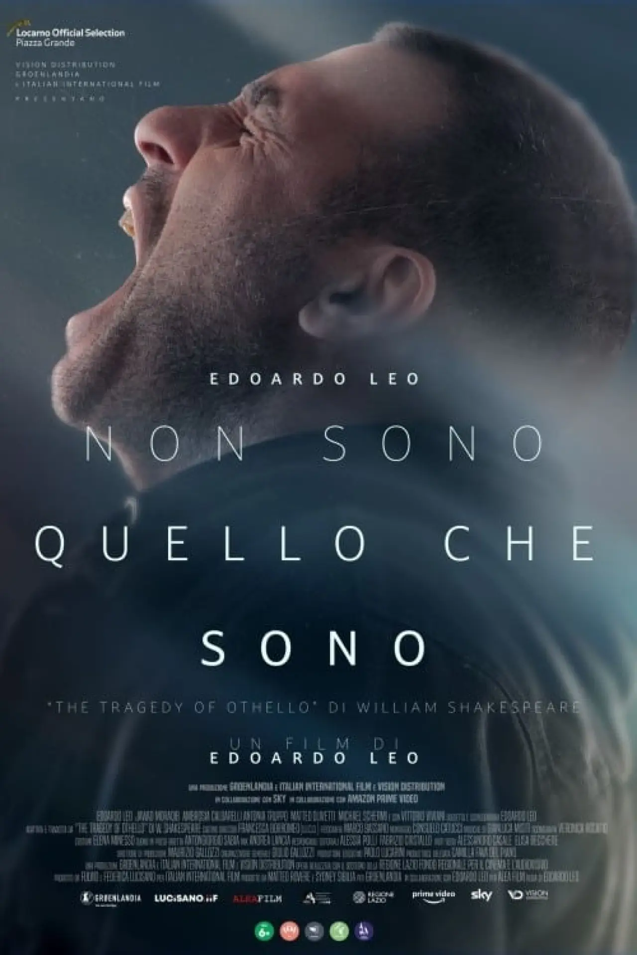 Постер до фільму "Non sono quello che sono"