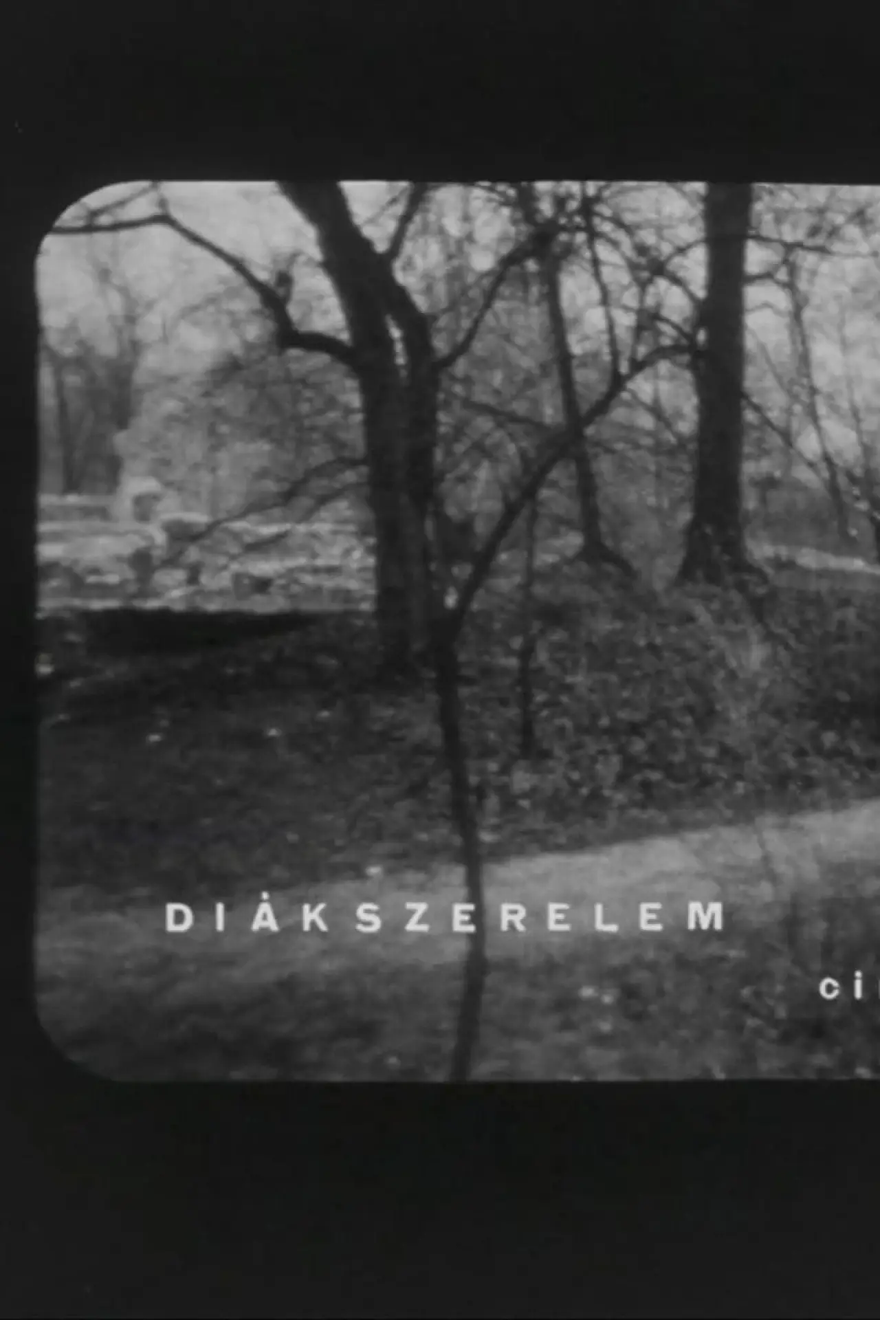 Постер до фільму "Diákszerelem"