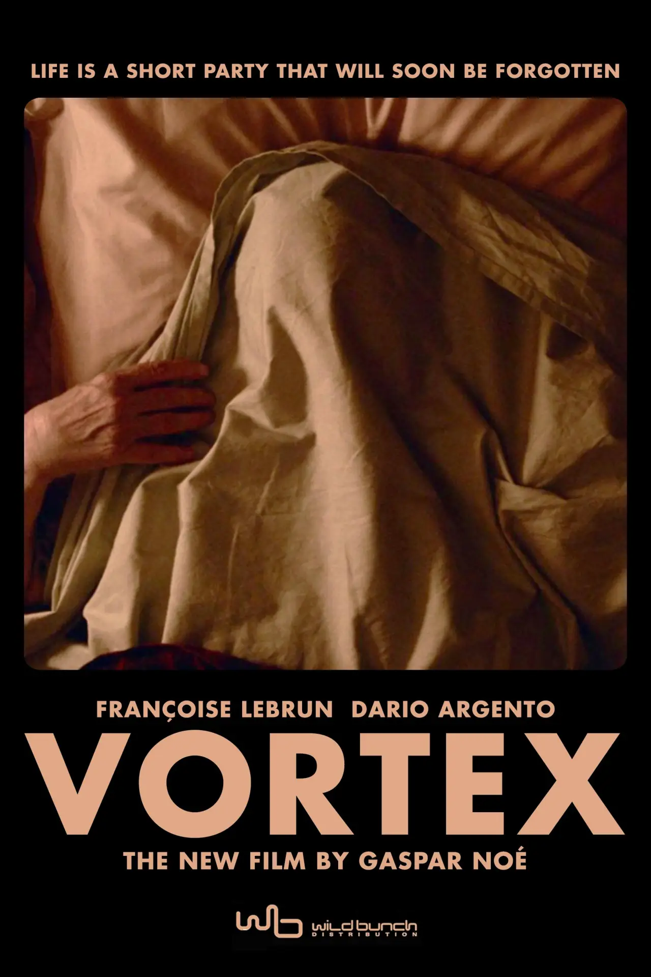 Постер до фільму "Vortex"