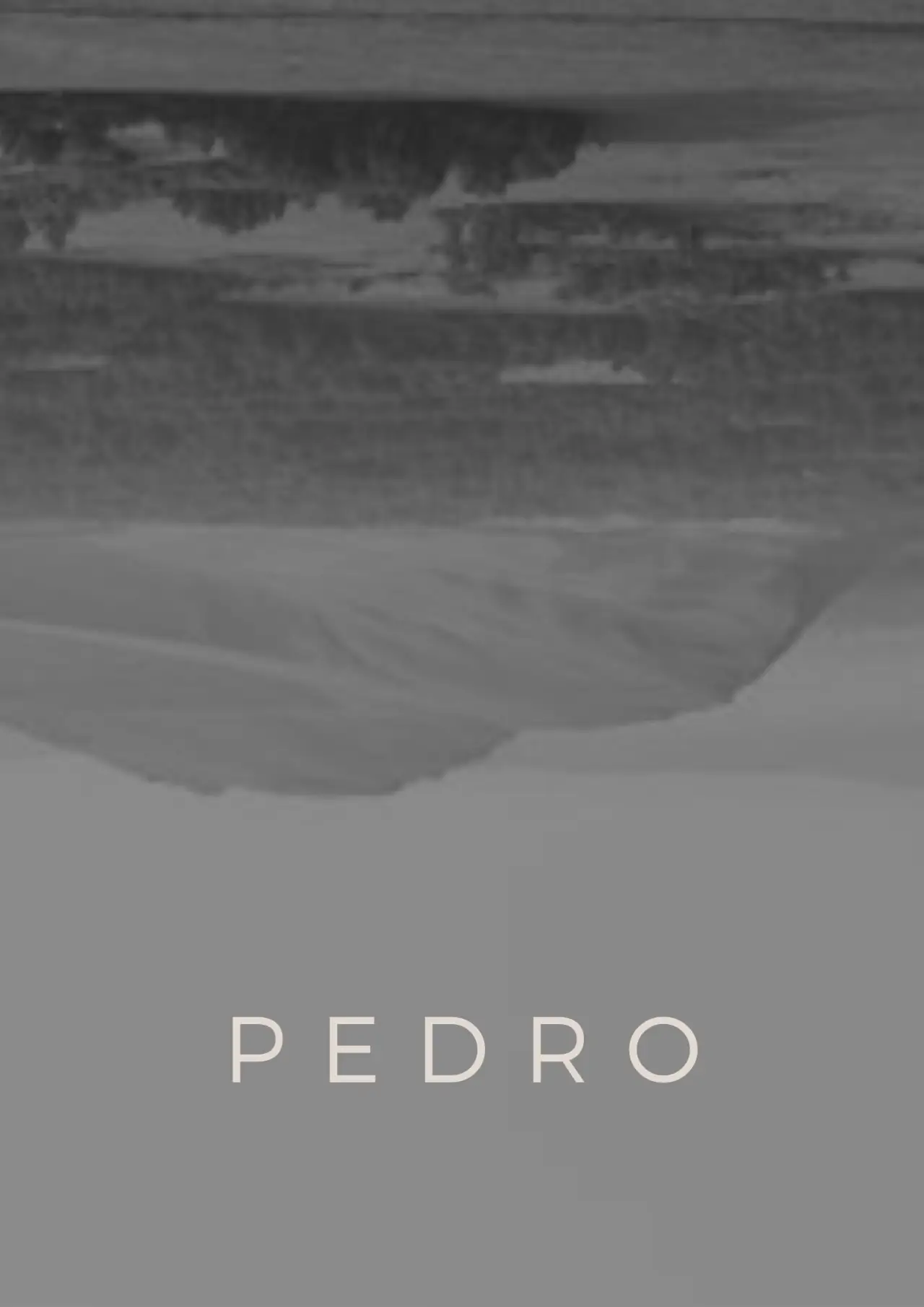 Постер до фільму "Pedro"