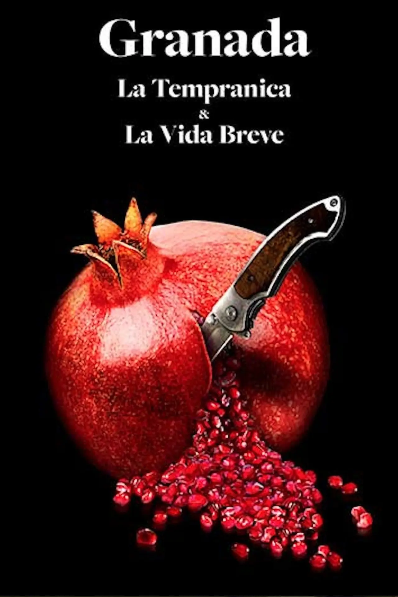 Постер до фільму "La vida breve"
