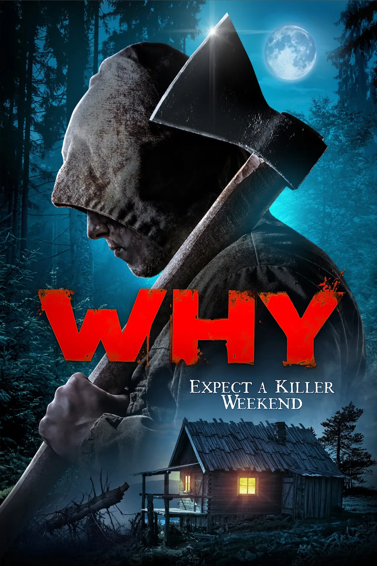 Постер до фільму "Why?"