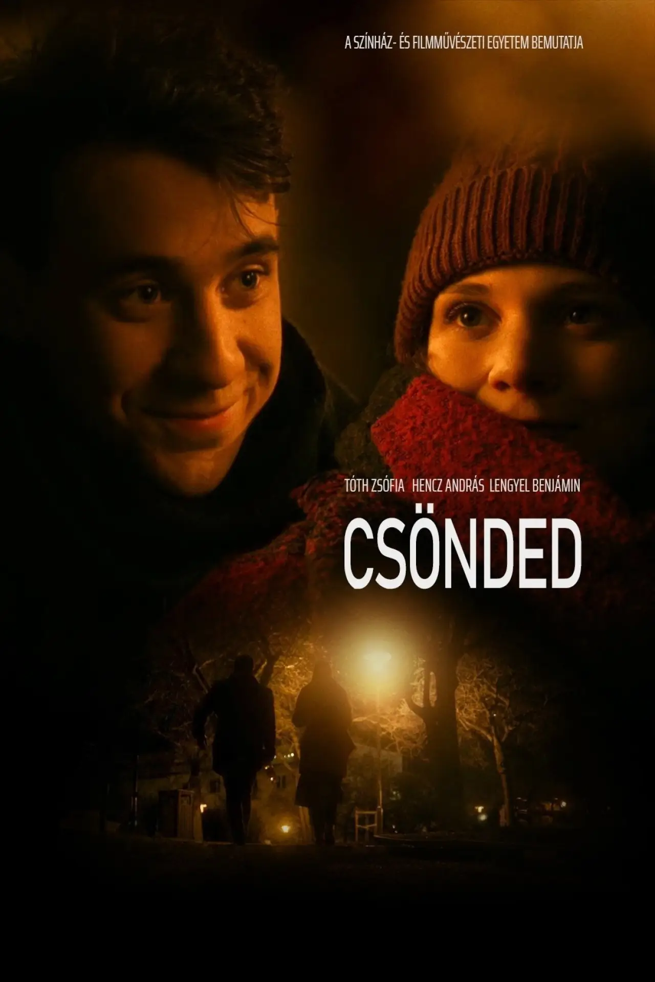 Постер до фільму "Csönded"