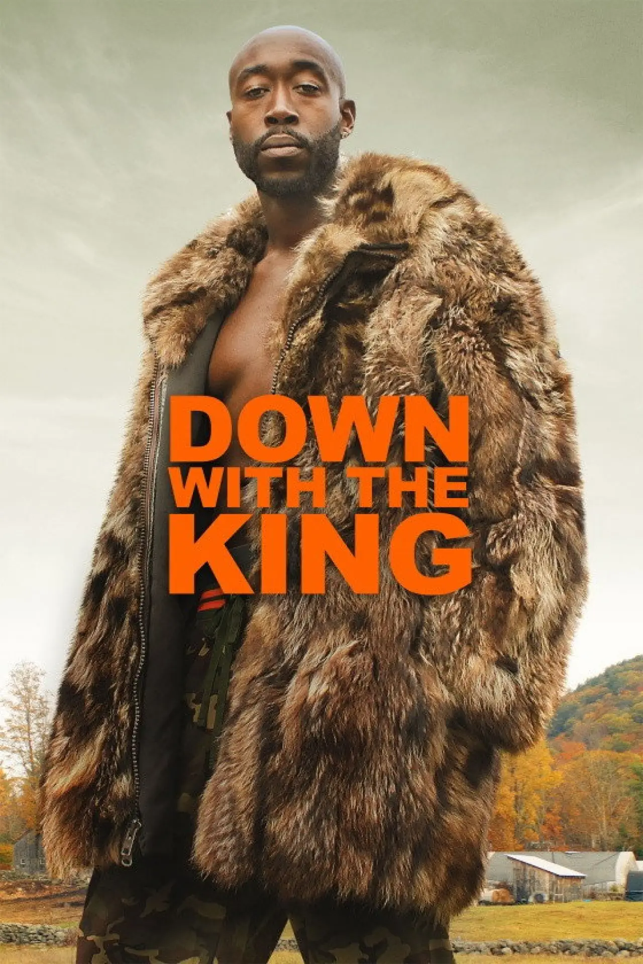 Постер до фільму "Down with the King"