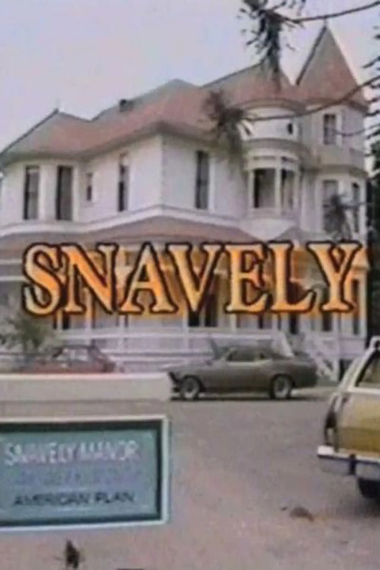 Постер до фільму "Snavely"