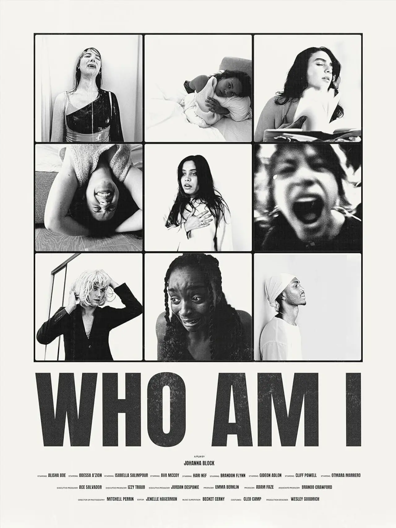 Постер до фільму "Who Am I?"