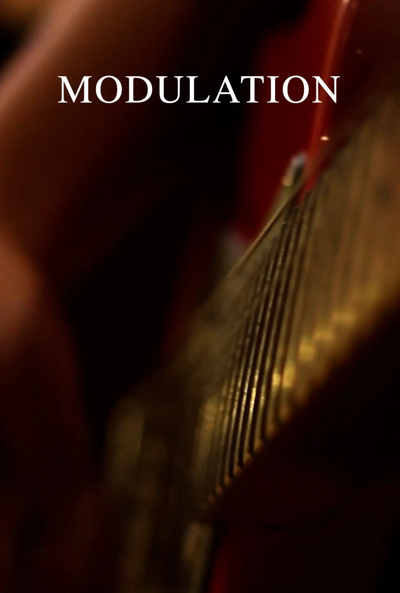 Постер до фільму "Modulation"