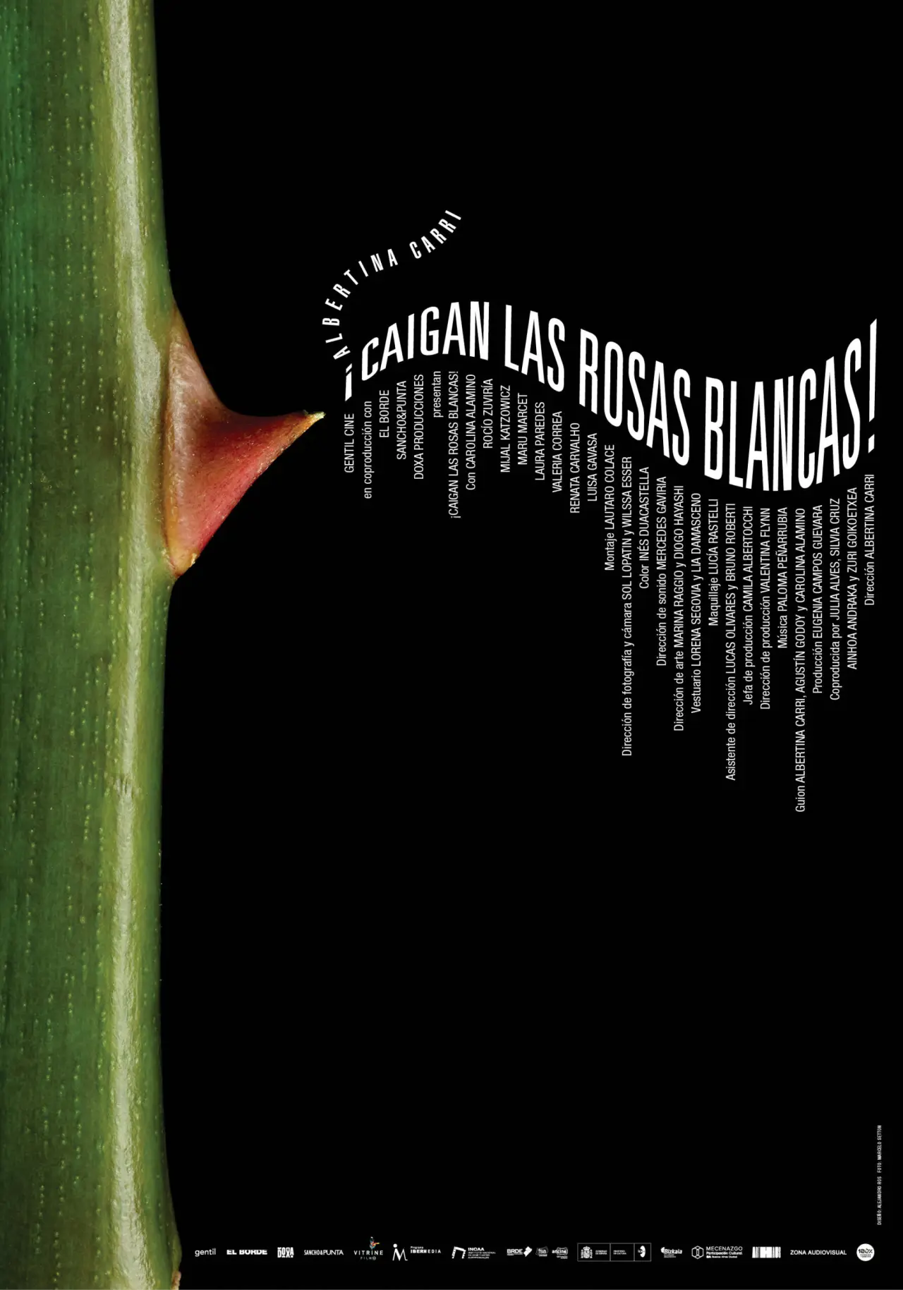 Постер до фільму "¡Caigan las rosas blancas!"
