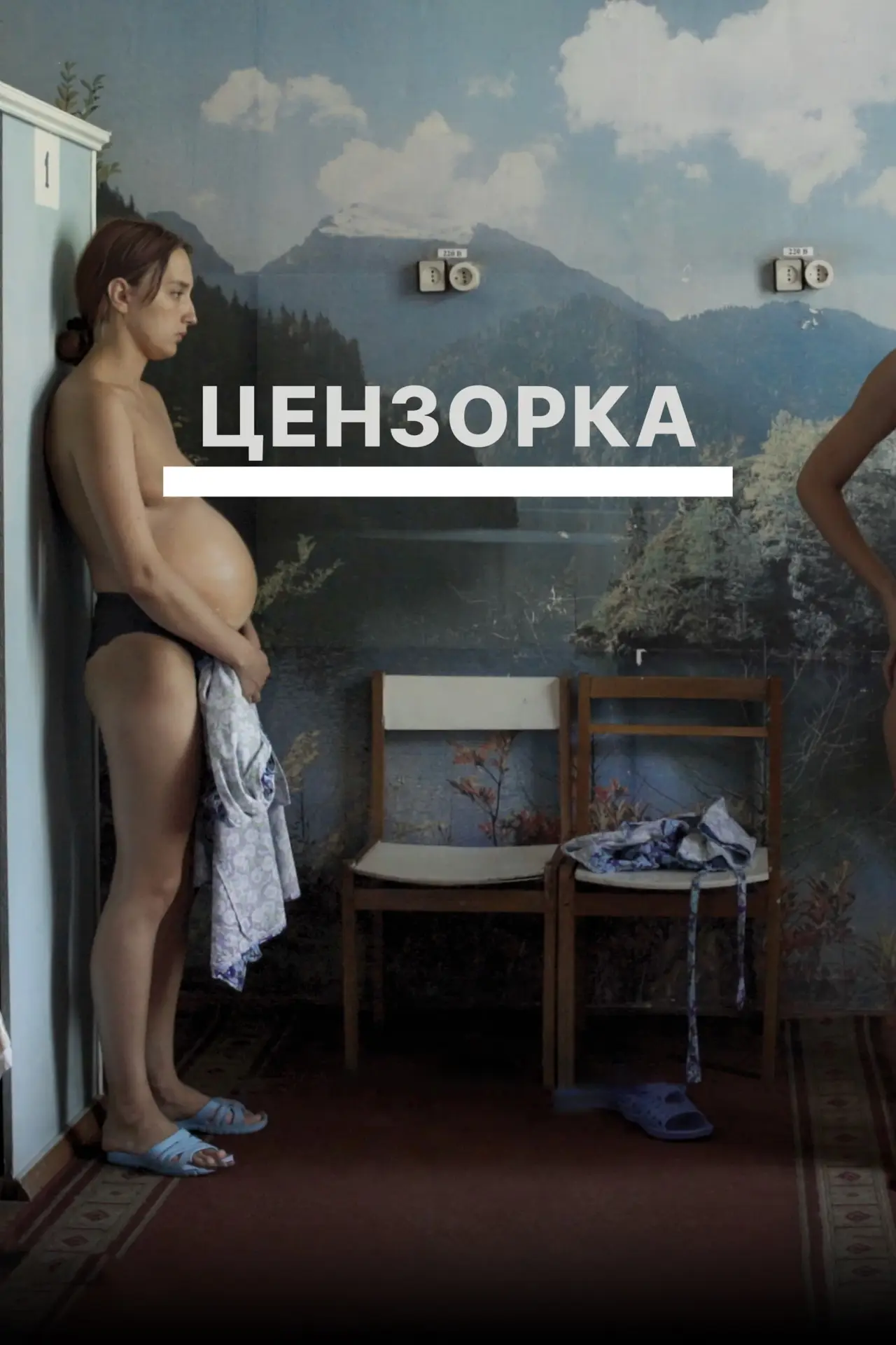 Постер до фільму "Цензорка"