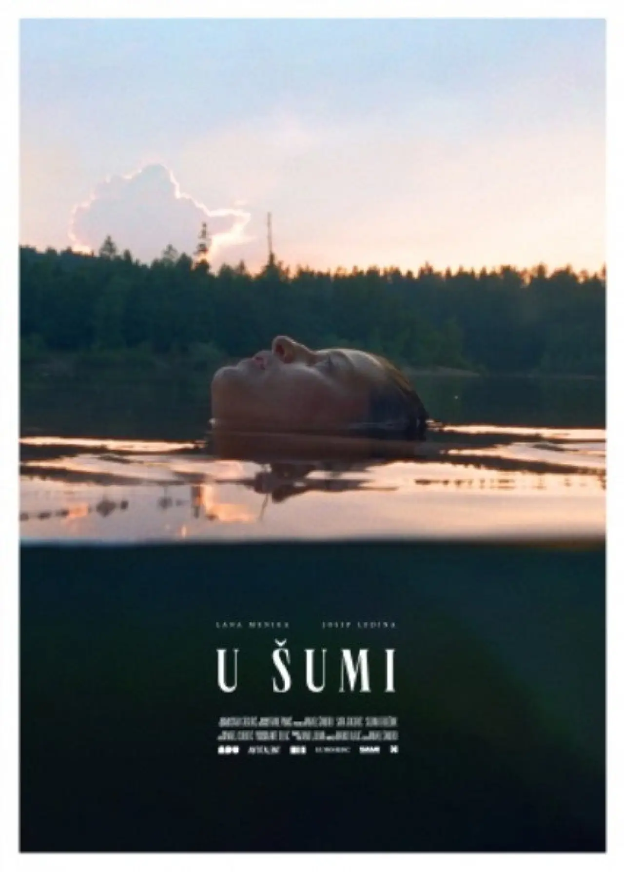 Постер до фільму "U šumi"