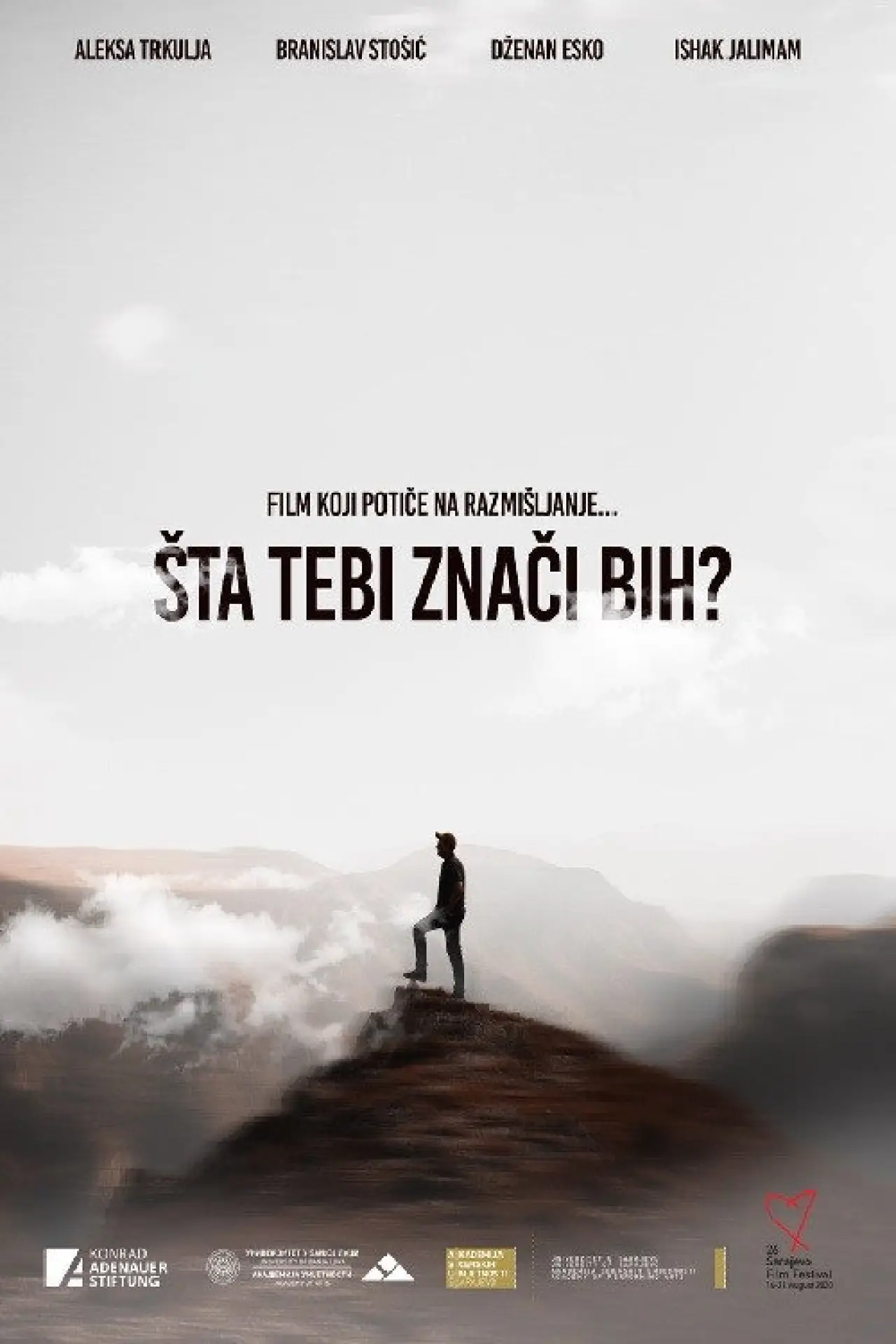 Постер до фільму "Šta tebi znači BiH?"
