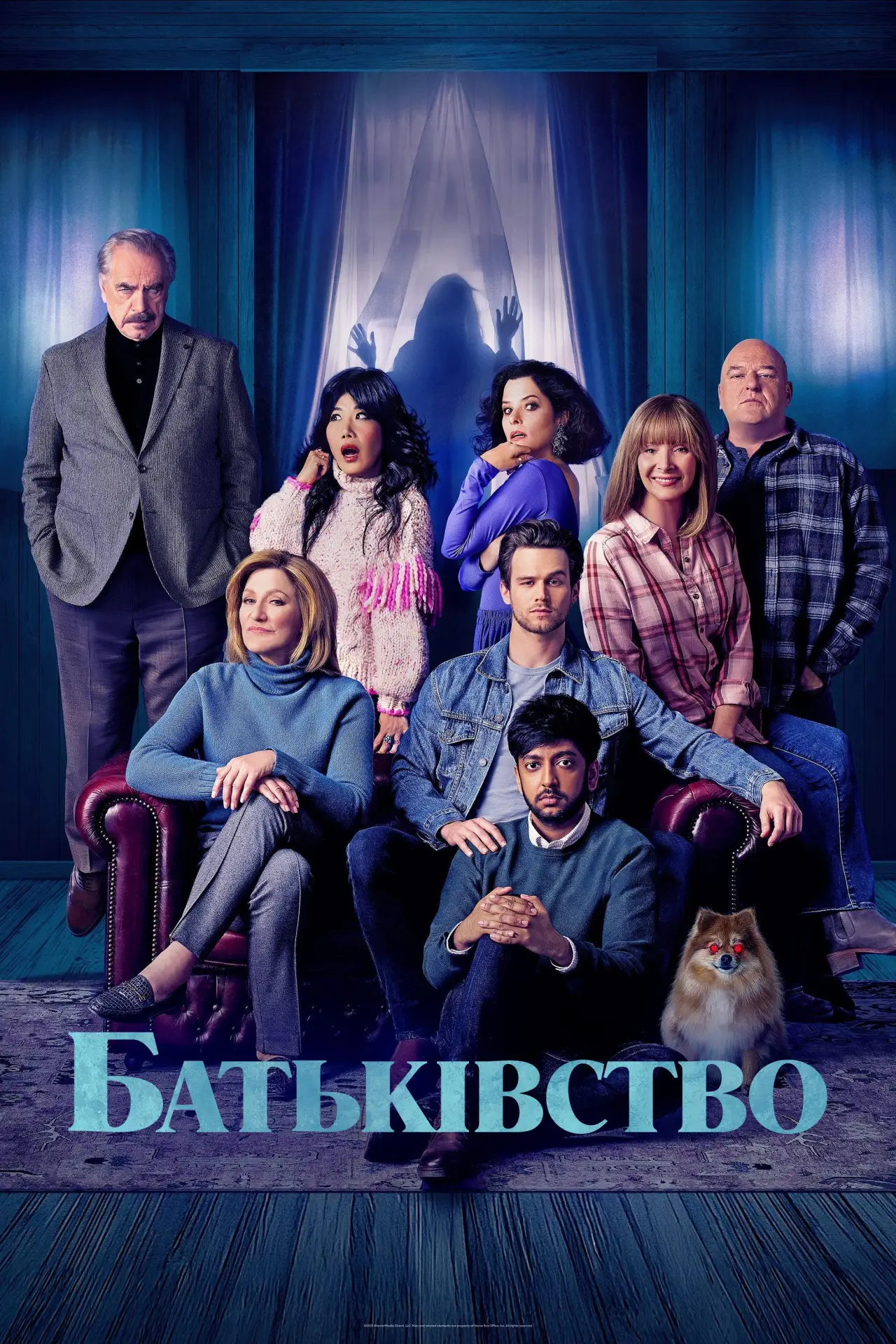 Постер до фільму "Батьківство"