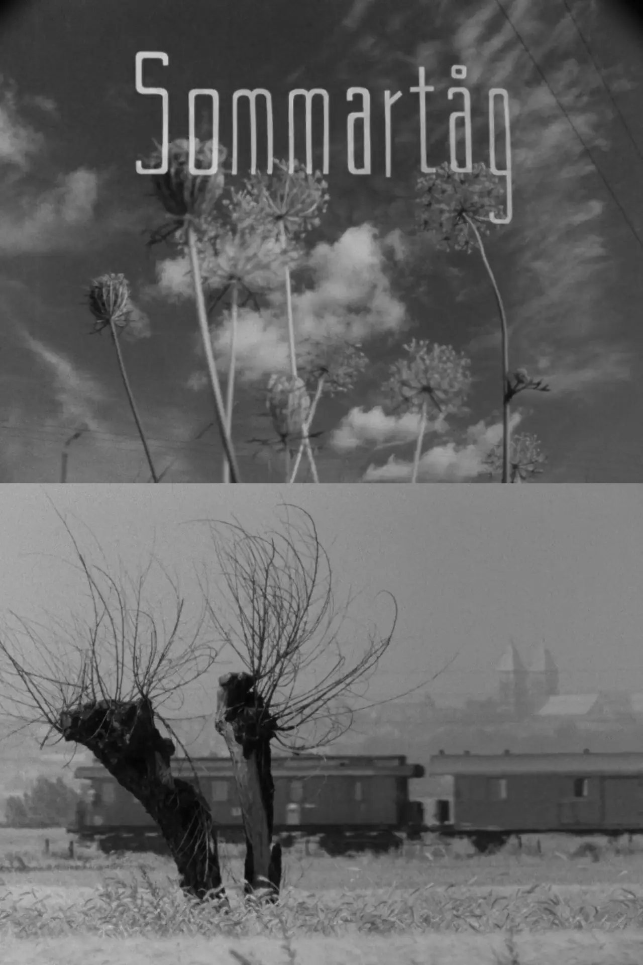Постер до фільму "Sommartåg"