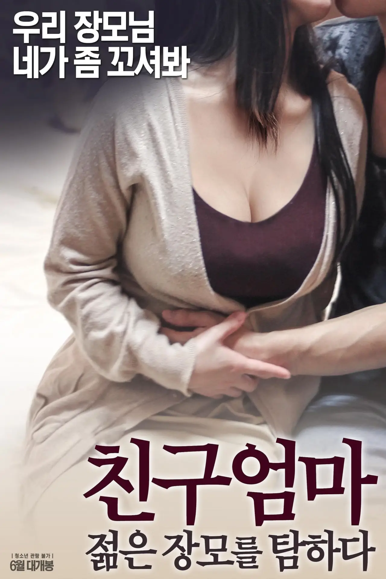 Постер до фільму "친구 엄마: 젊은 장모를 탐하다"
