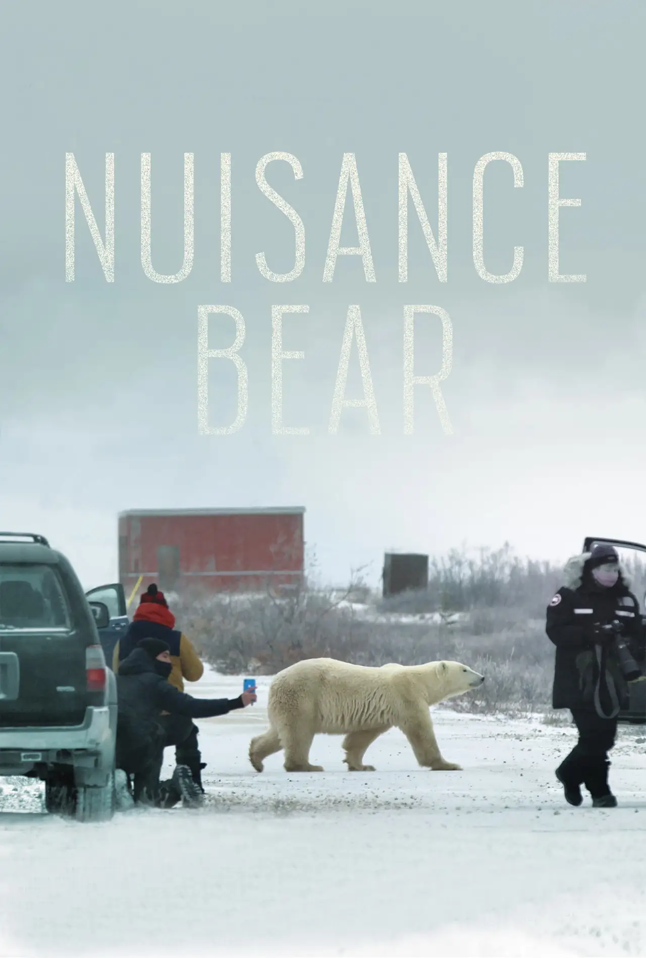 Постер до фільму "Nuisance Bear"