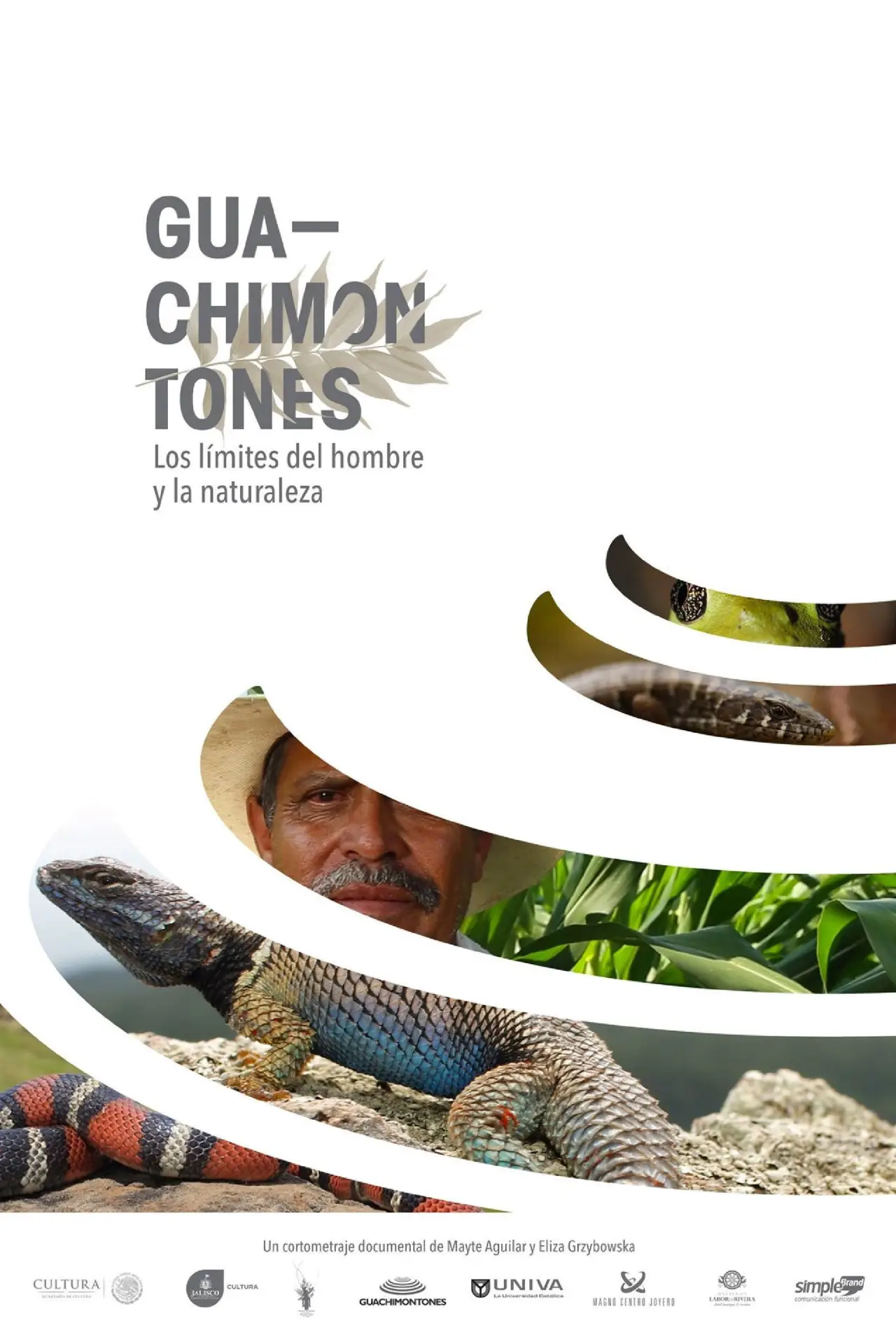 Постер до фільму "Guachimontones, los límites del hombre y la naturaleza."