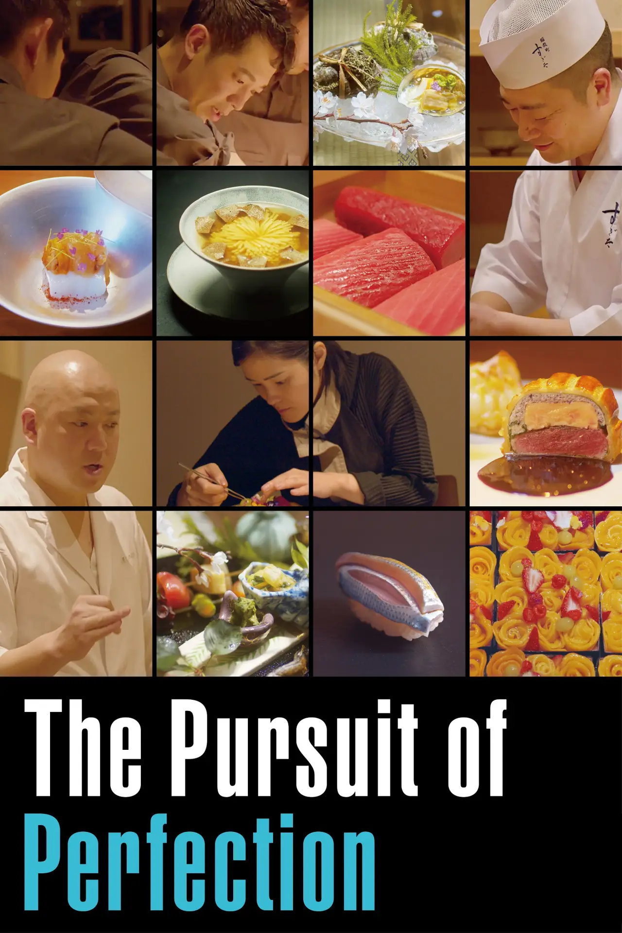 Постер до фільму "The Pursuit of Perfection"