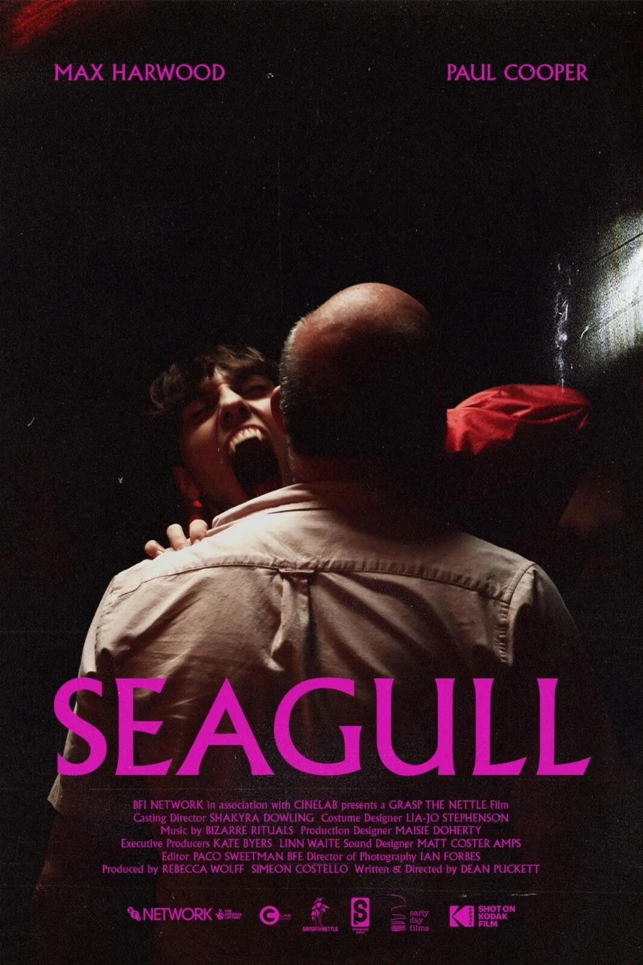Постер до фільму "Seagull"