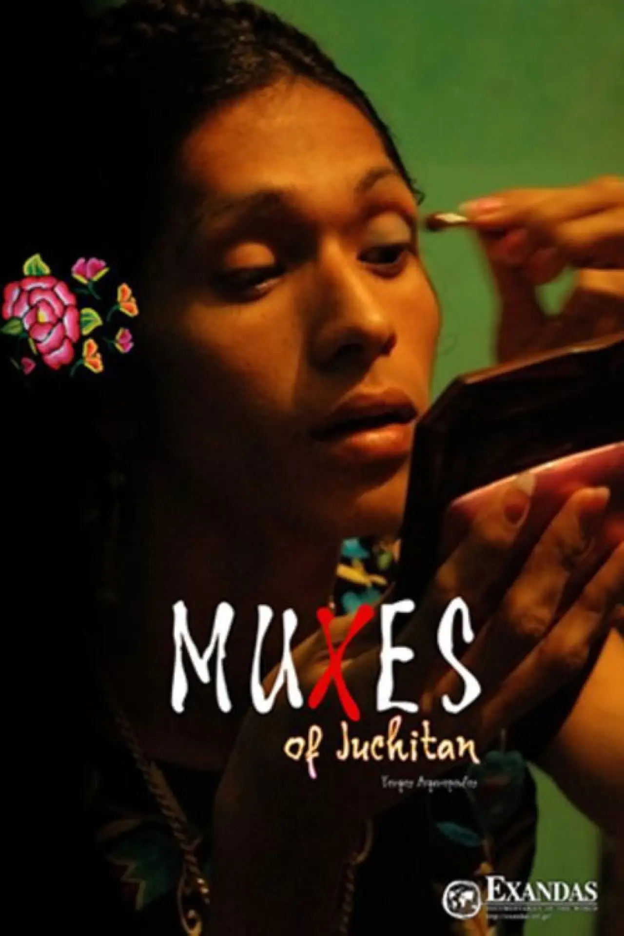 Постер до фільму "Muxes  deJuchitán"