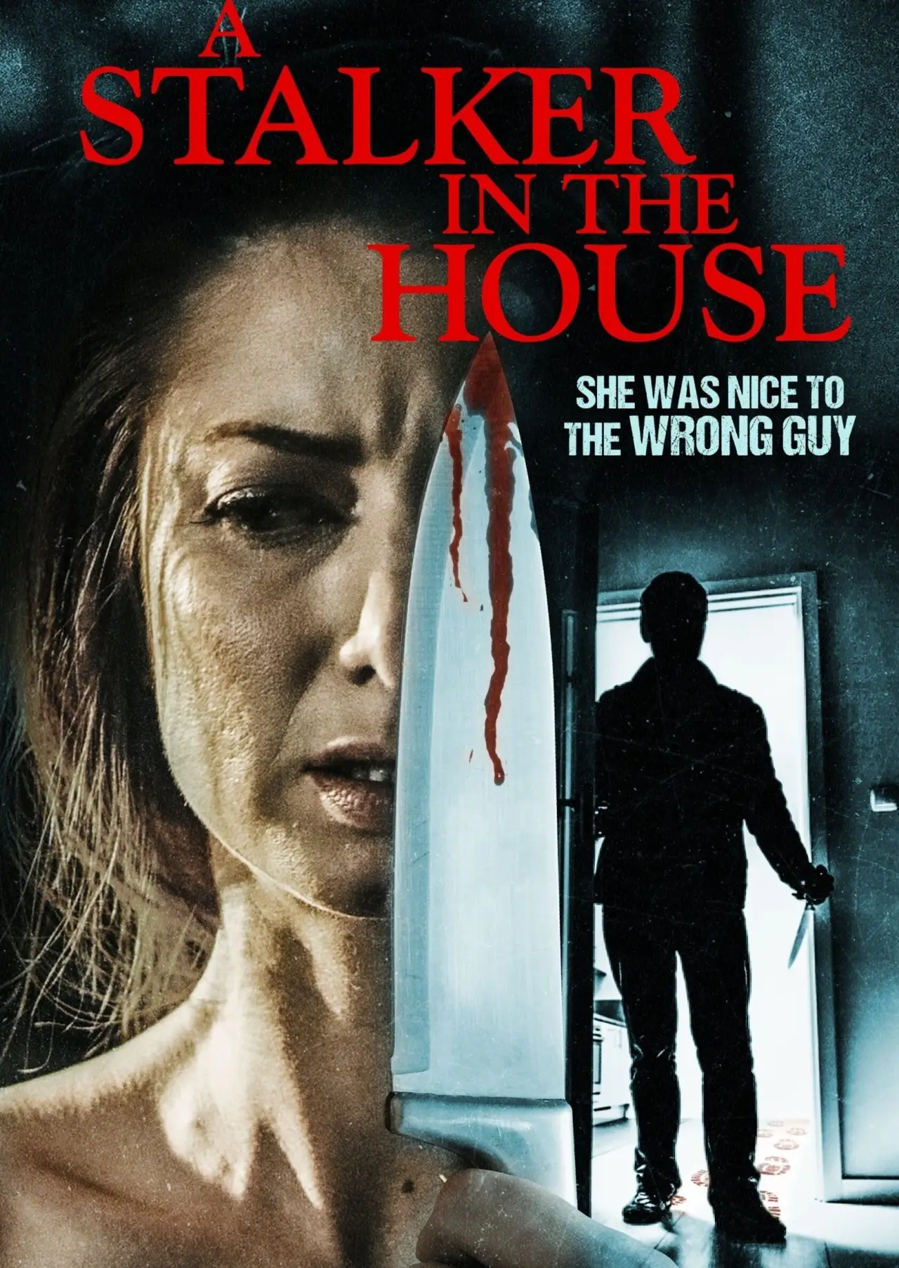 Постер до фільму "A Stalker in the House"