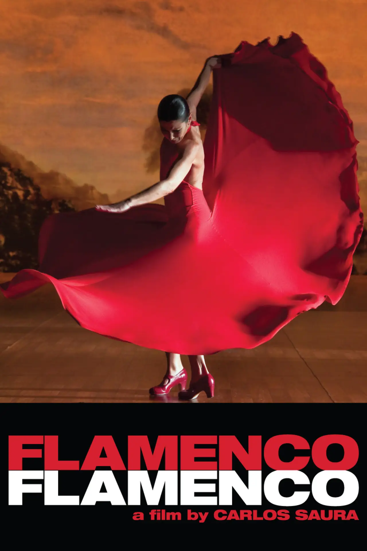 Постер до фільму "Flamenco Flamenco"