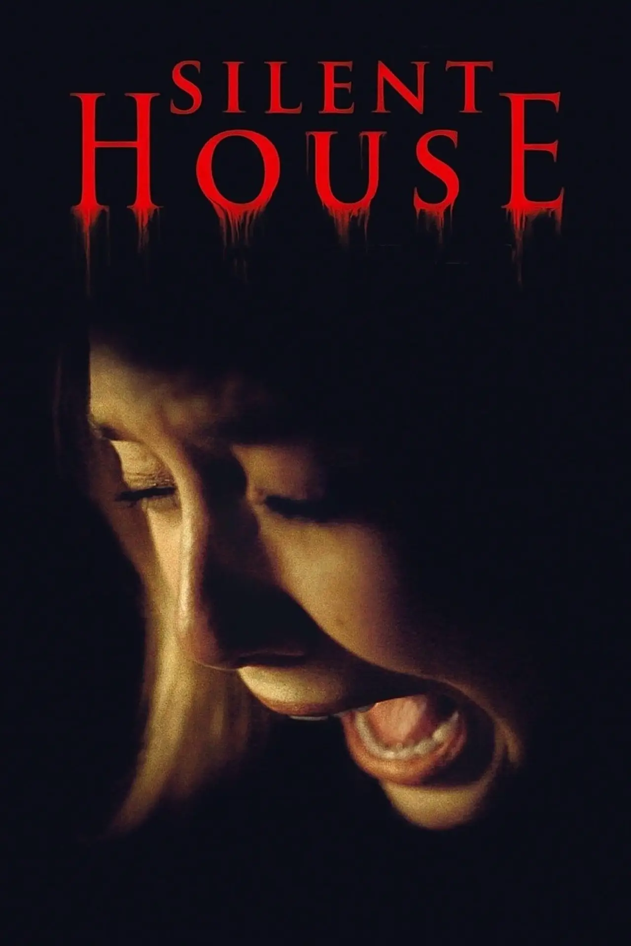Постер до фільму "Silent House"
