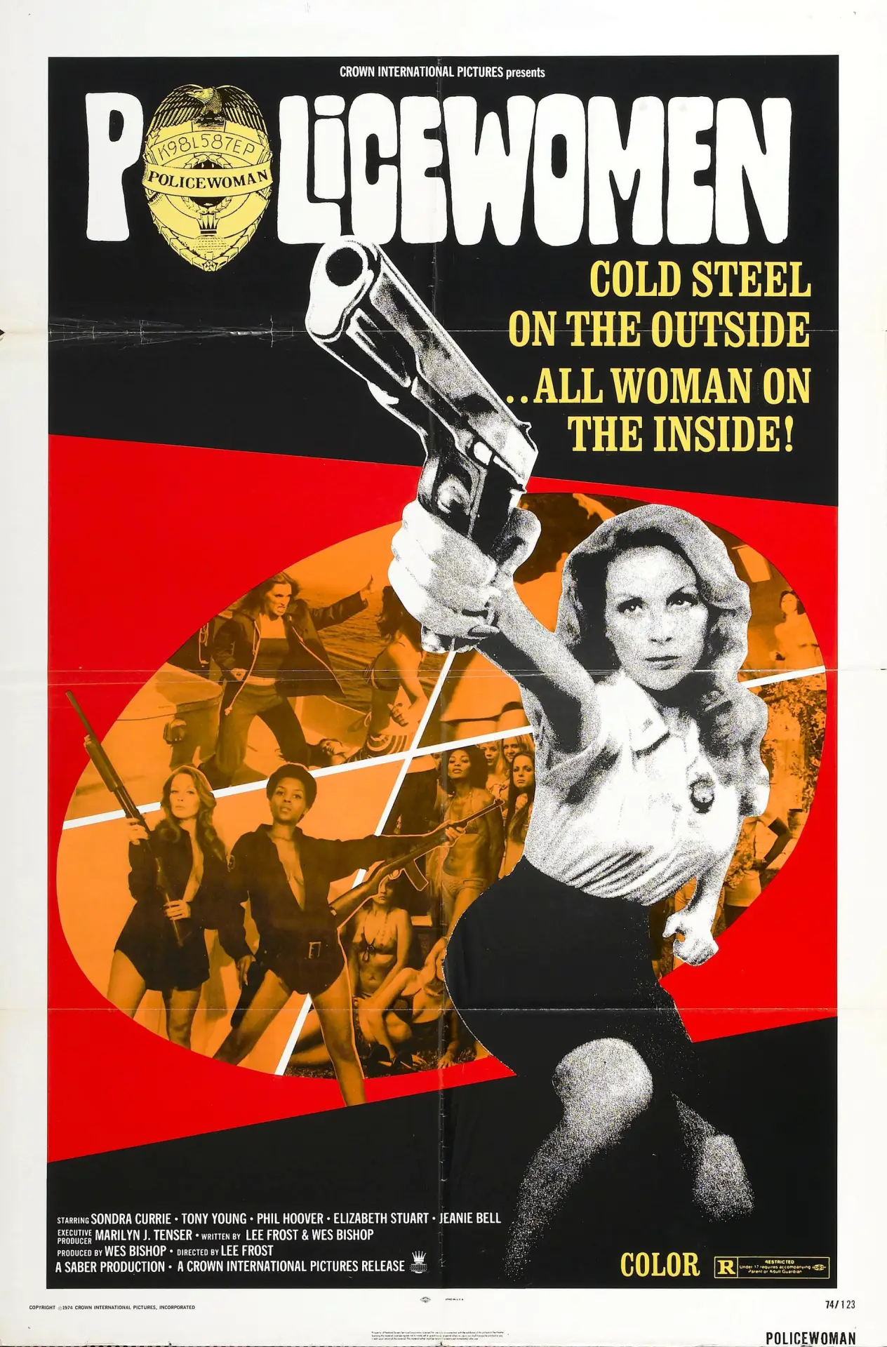 Постер до фільму "Policewomen"
