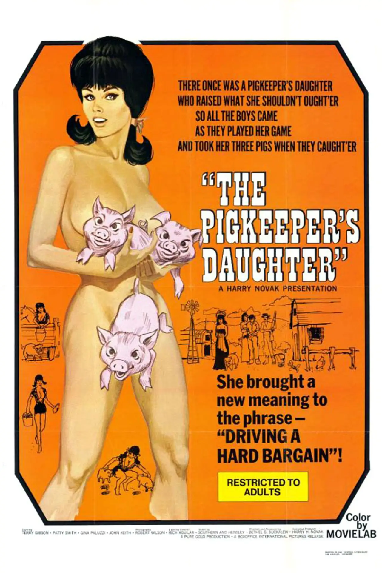 Постер до фільму "The Pig Keeper