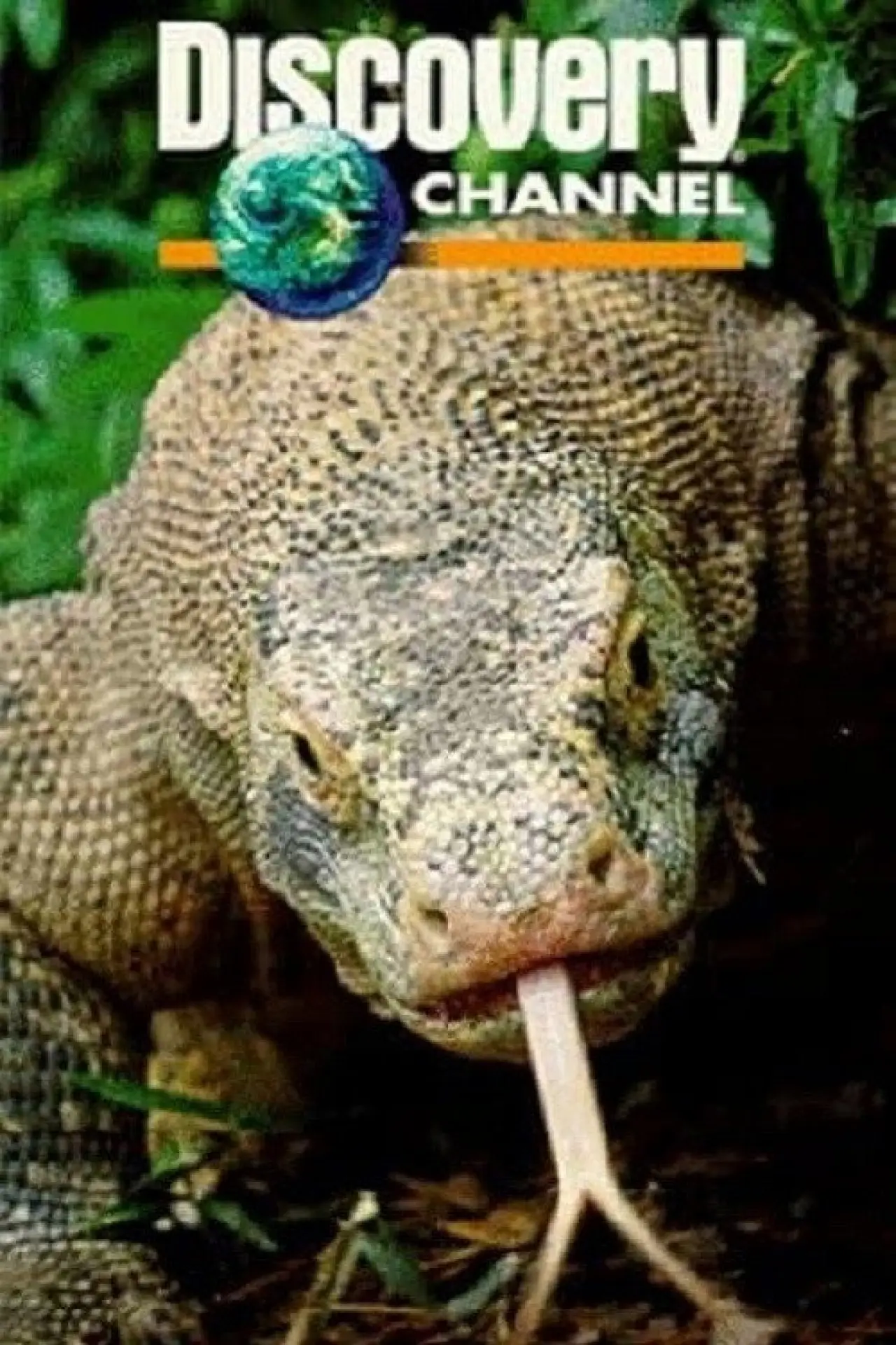 Постер до фільму "Dragons of Komodo"
