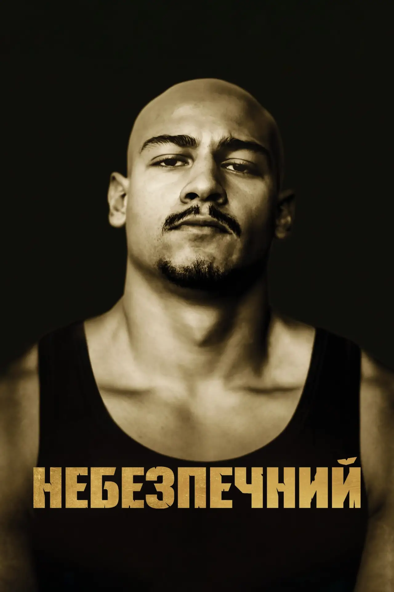 Постер до фільму "Небезпечний"